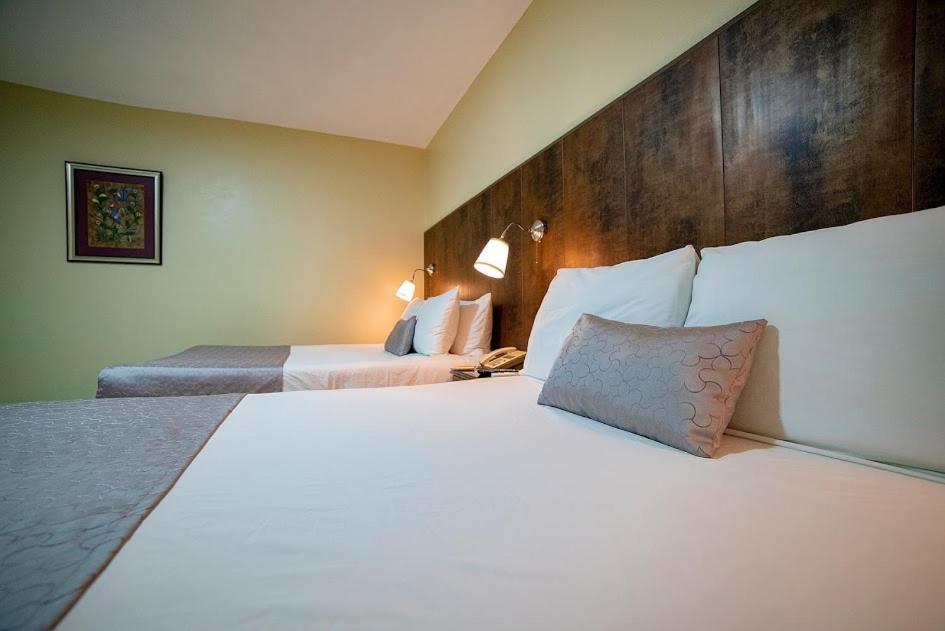 Hotel Real Bella Vista サントドミンゴ エクステリア 写真